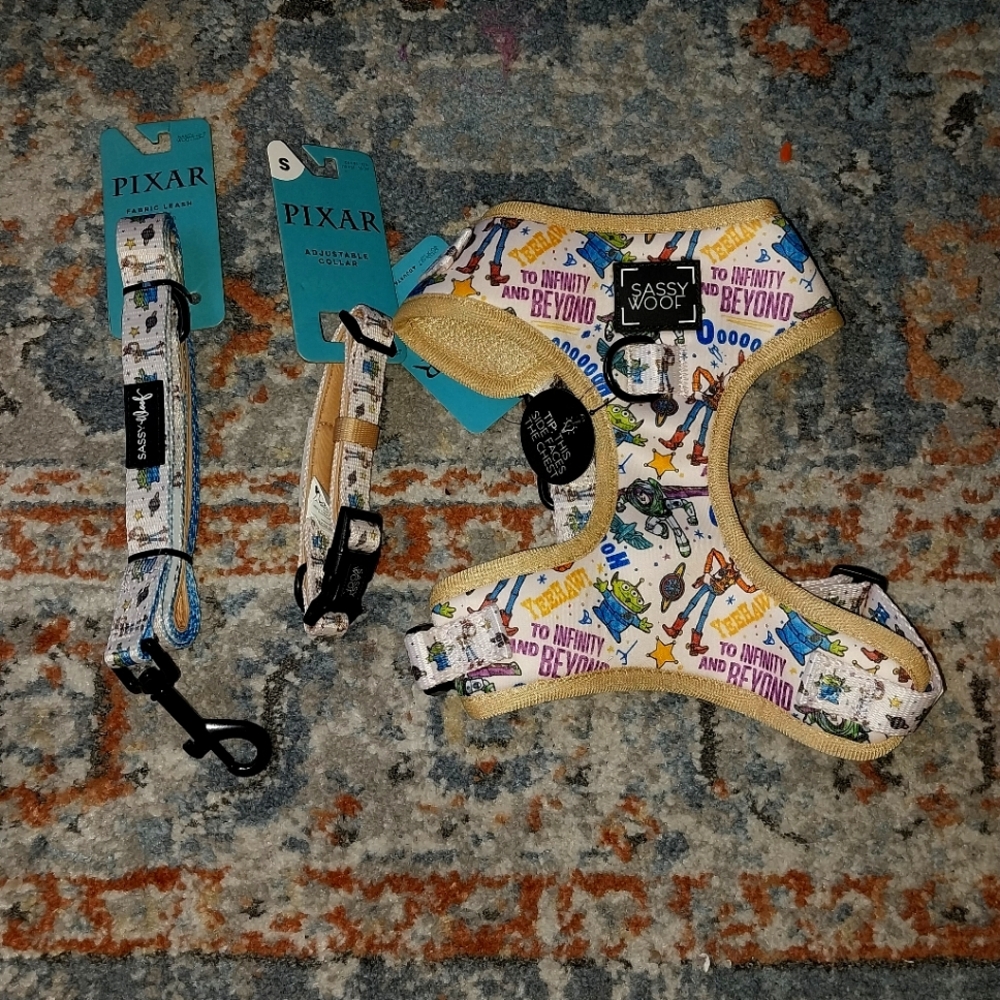 S Harness, Collar, and Leash